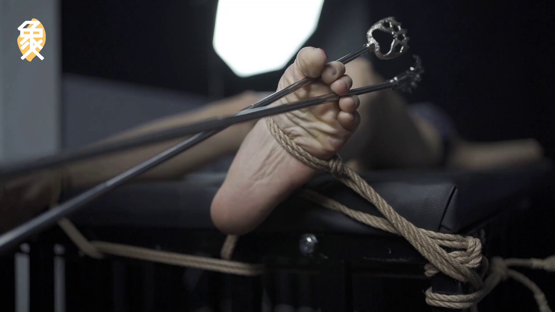 ffe38adcf816f119365f6ef6ea9da921