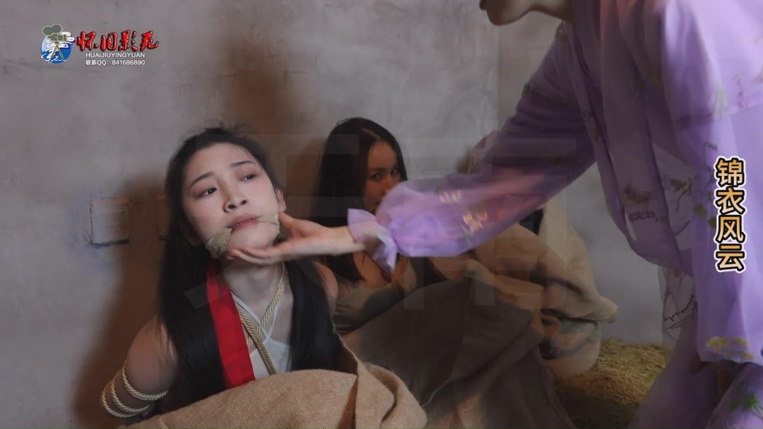 怀旧影视定制 古装巨制 《锦衣风云》第三集-10