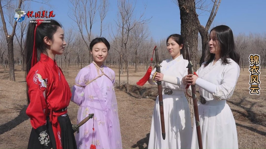 怀旧影视定制 古装巨制 《锦衣风云》第三集-8