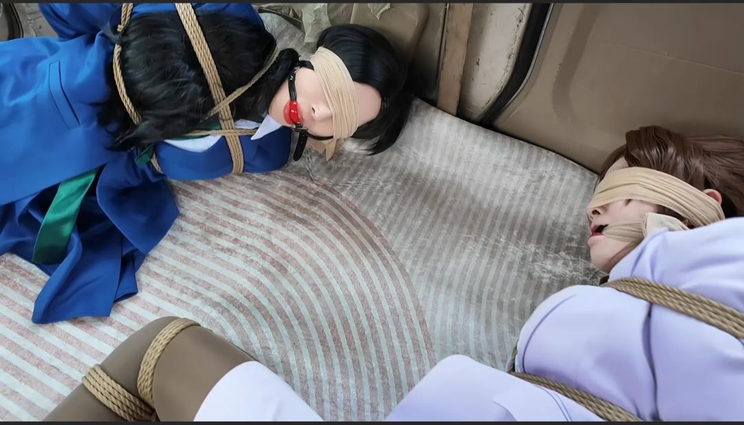 幻星大帝 李大侠原创-佳佳雅倩主演-《名侦探柯南》妃英理毛利兰母女遇袭之母女调教-1