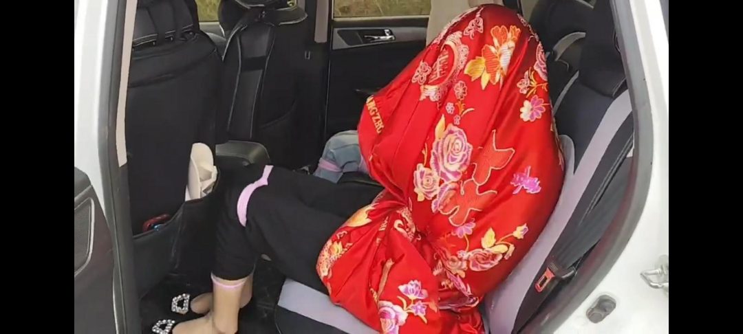 肆零叁 野外遭遇-5