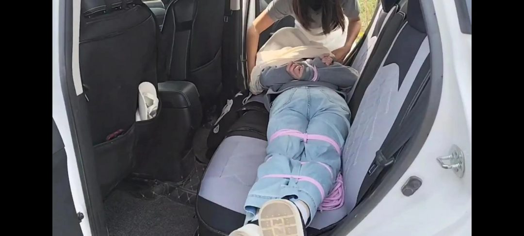 肆零叁 野外遭遇-3