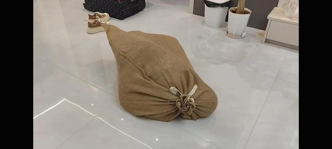 捆绑装袋，丝袜套头-6