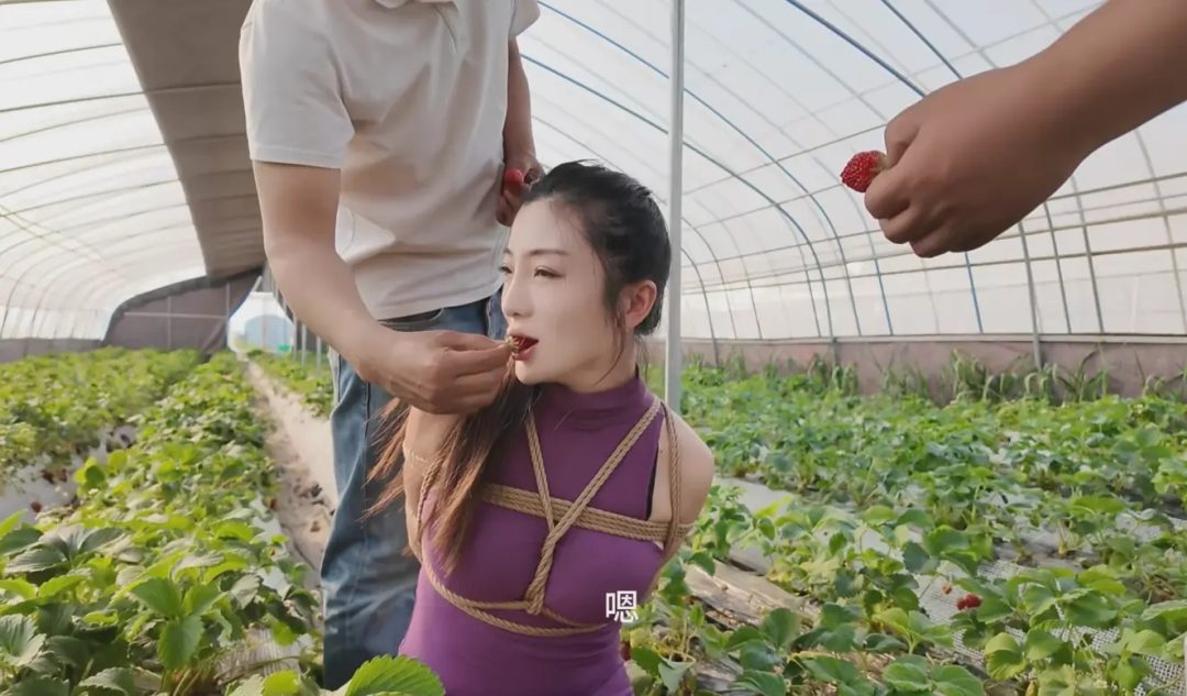 佳佳户外农场参观-4