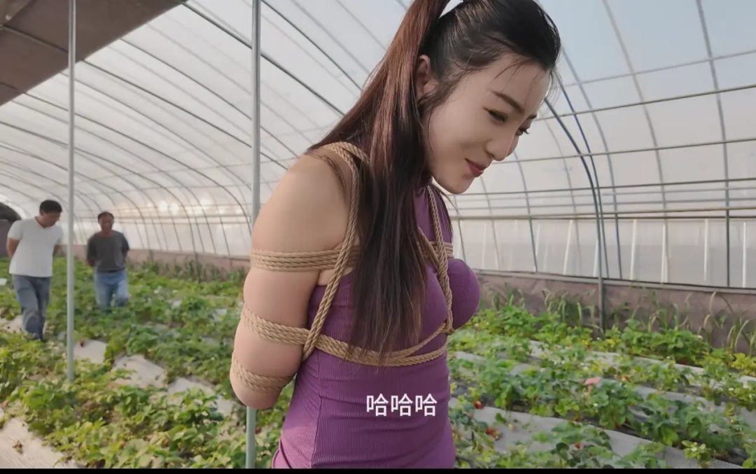 佳佳户外农场参观-2