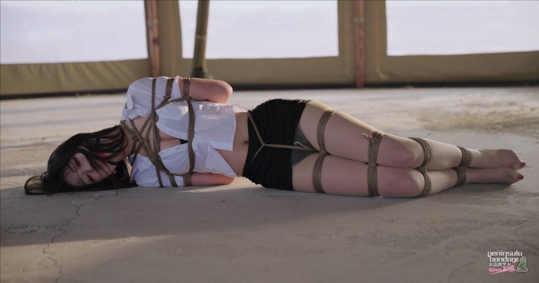 【半岛束艺台】【泽爱】秘书去哪了-10