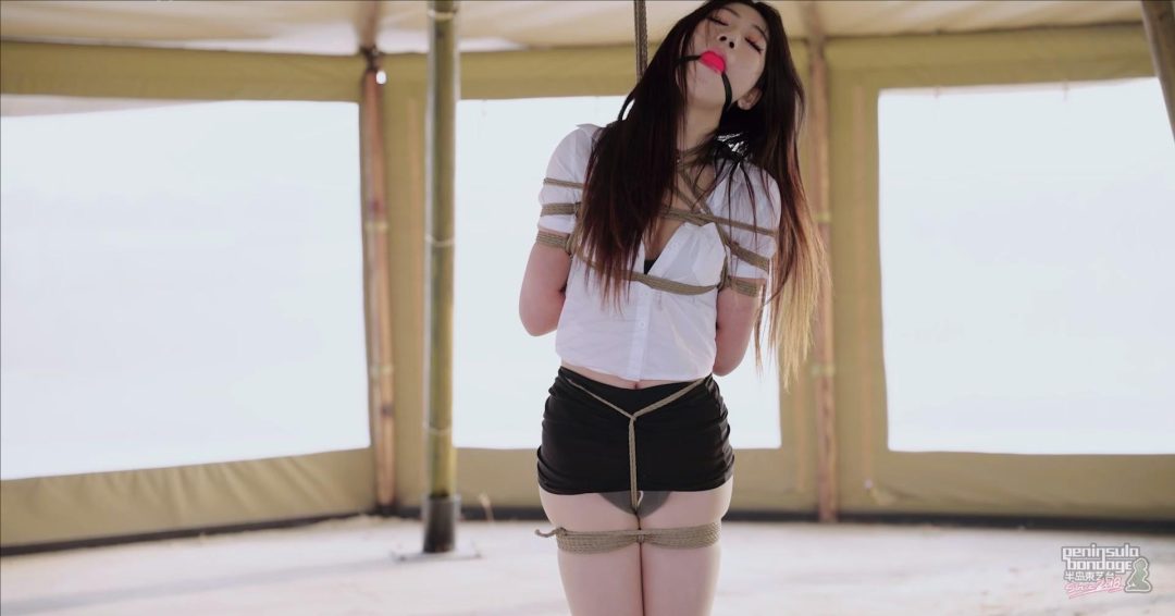 【半岛束艺台】【泽爱】秘书去哪了-8