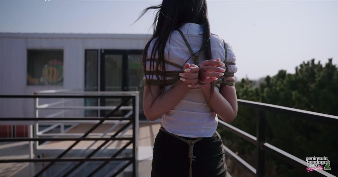 【半岛束艺台】【泽爱】秘书去哪了-5