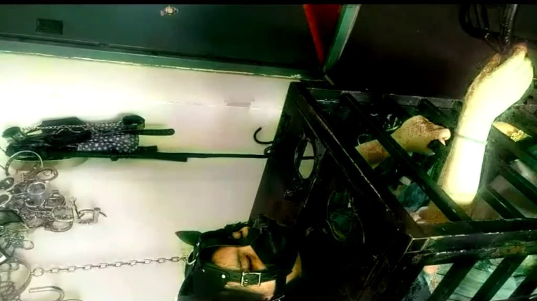 大年初三 我是这么度过的-8