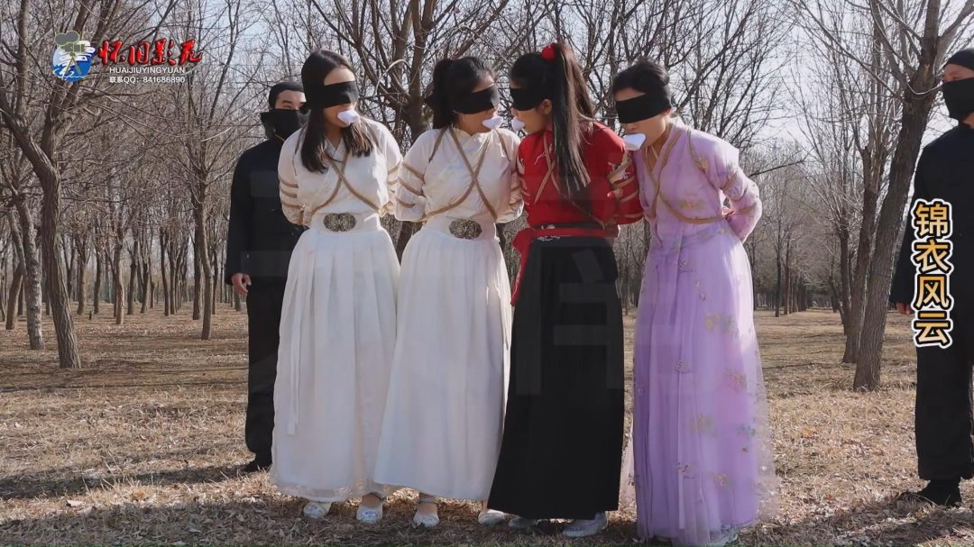 怀旧影视定制 古装巨制 《锦衣风云》第四集 完结篇-1