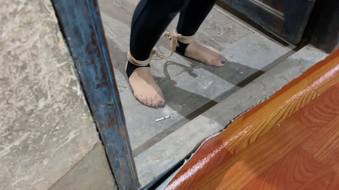 洋洋执行记Ⅳ-10