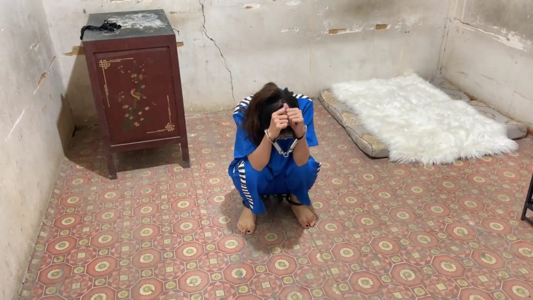 洋洋执行记Ⅳ-5