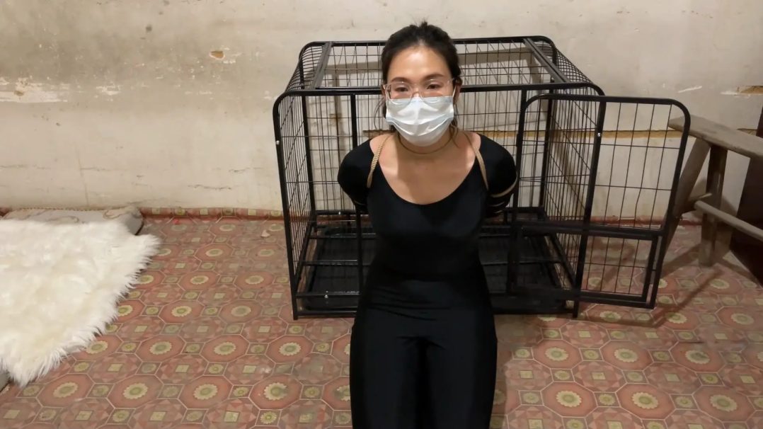 洋洋执行记Ⅳ-6