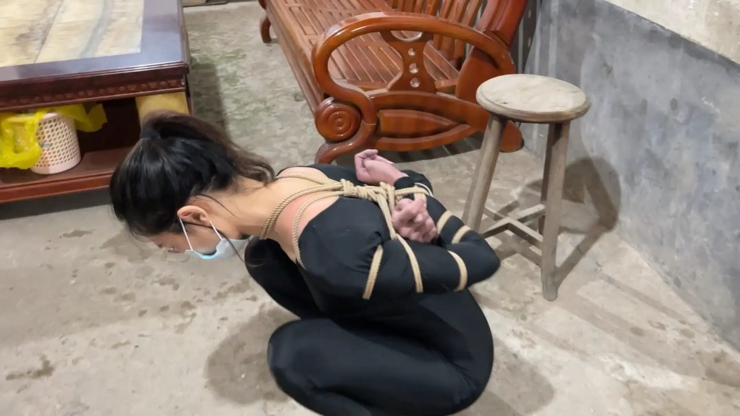 洋洋执行记Ⅳ-2