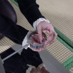 定拍微剧情偷偷滋味的小m被主人发现