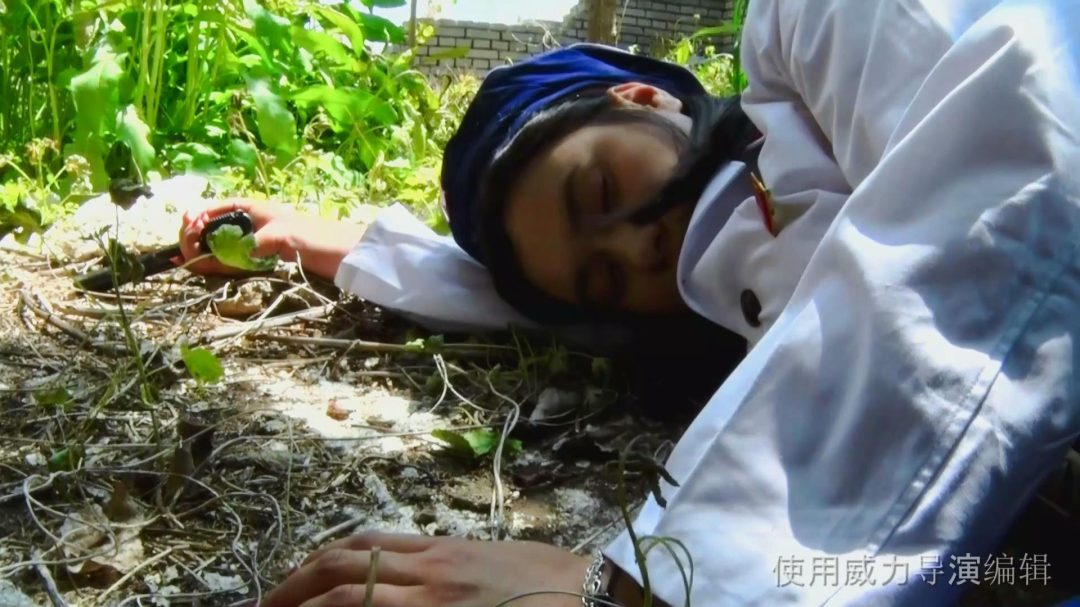 【天逸影画公司】《劫持报复》-3