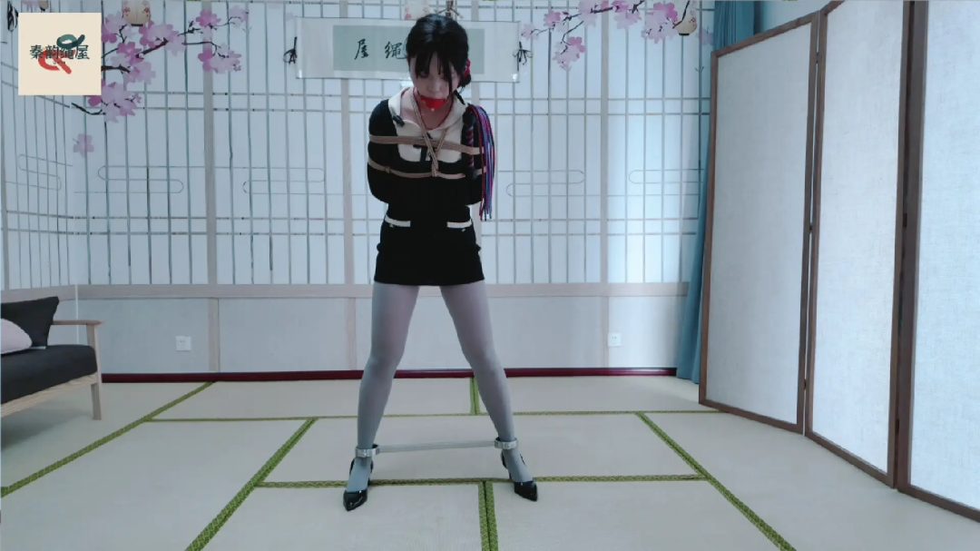 秦韵绳屋 到绳屋盗窃的蠢贼-5