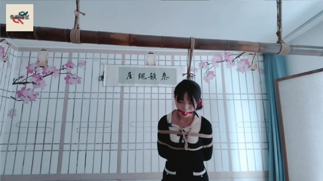 秦韵绳屋 到绳屋盗窃的蠢贼-6