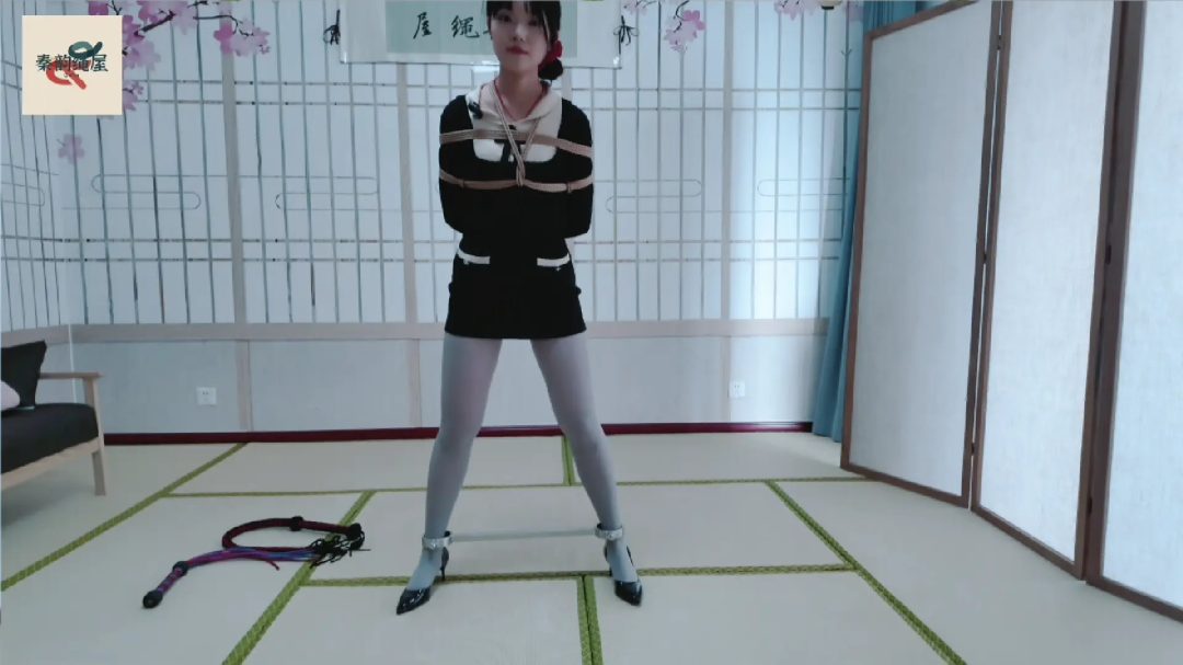 秦韵绳屋 到绳屋盗窃的蠢贼-3