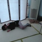 秦韵绳屋 到绳屋盗窃的蠢贼