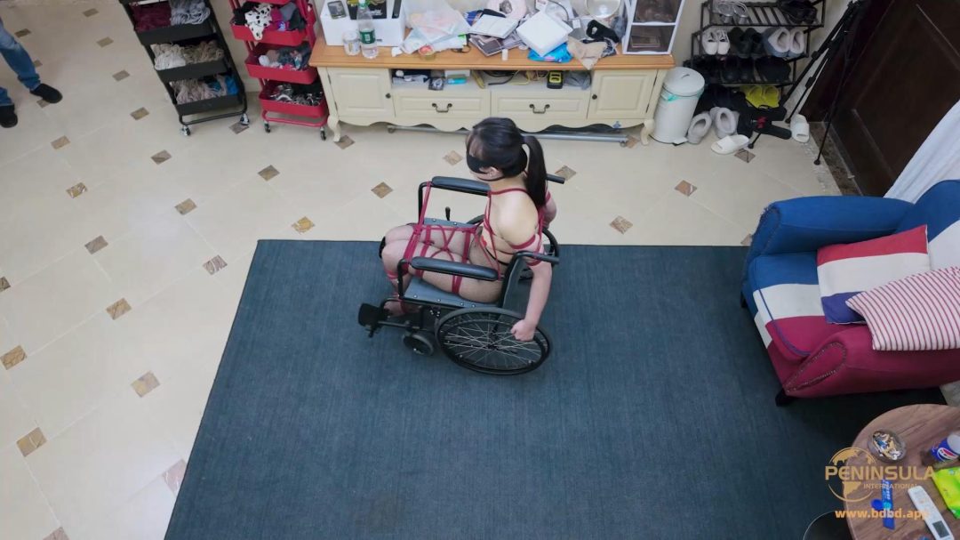 【半岛束艺台】【波雅】轮椅的正确驾驶方法-4