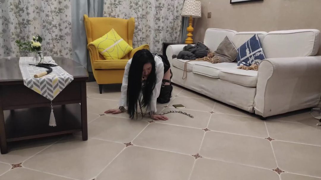 妻奴之假日游戏（下集） 羞耻内衣绳艺秀 M字强制开脚 电击刺激 K9训犬 马鞭鞭打 金属束缚等等-5