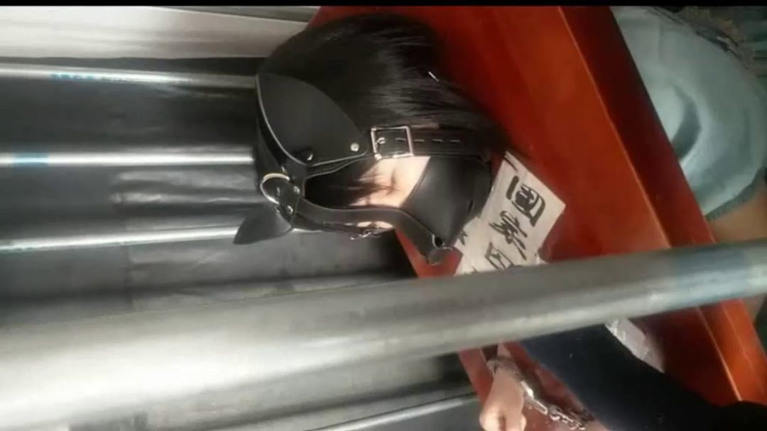 大年初三 我是这么度过的-5