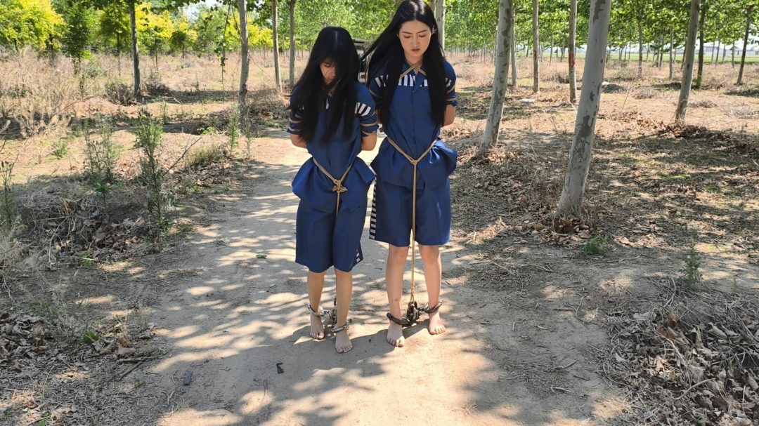 【鑫鑫工作室】林悦是H市井花新人，气质清冷。沈菲是一家广告公司的文案策划，古灵精怪。两人自小一起长大，情同姐妹。虽然她们感情很好，但得知闺蜜沈菲犯法了，还是选择抓捕她。因为在后面的过程中徇私枉法，帮助-1