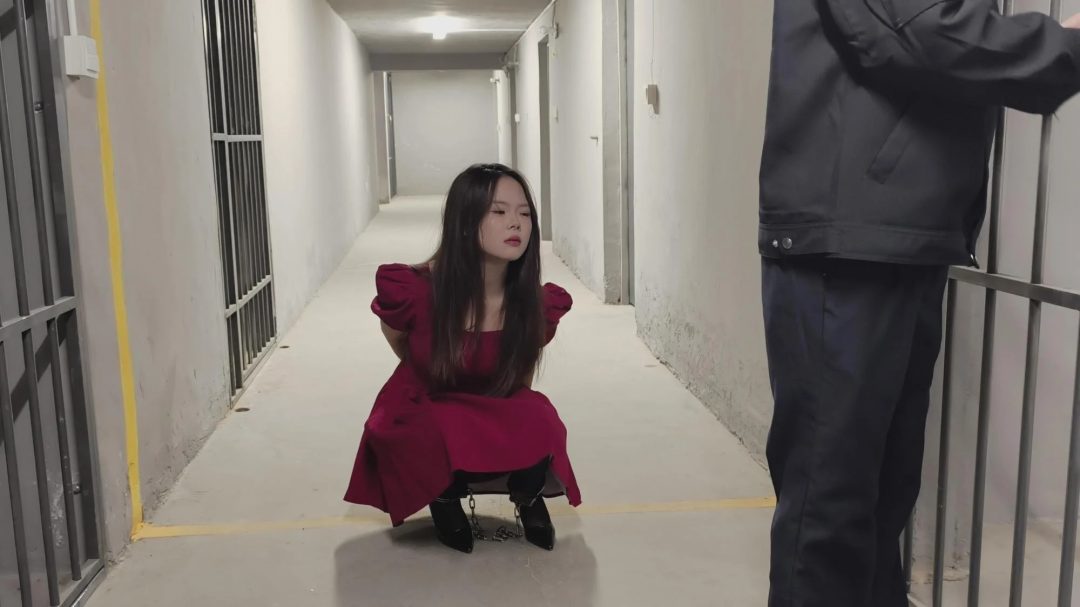 【鑫鑫工作室】张小姐因涉嫌 被逮捕，依法对她进行逮捕并搜查。张小姐声称自己没有犯罪，但 表示没有证据不会随意抓人。 张小姐坚称自己没有犯罪，是正常上班时被抓捕的,押回牢房，等待进一步的审判-1