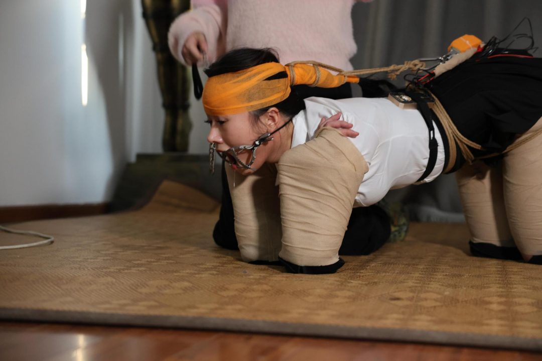 残酷的人形犬-5