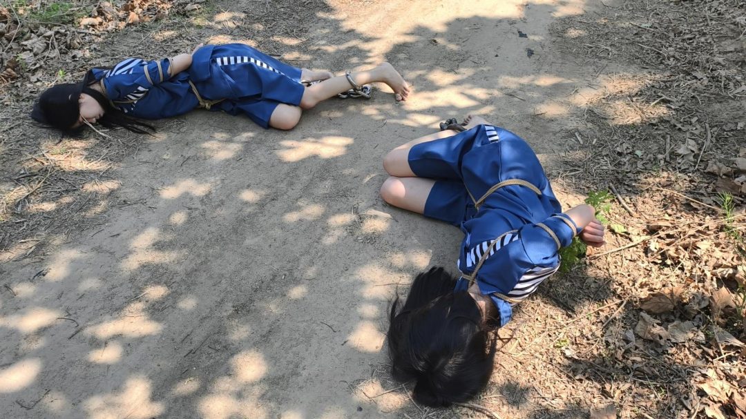 【鑫鑫工作室】林悦是H市井花新人，气质清冷。沈菲是一家广告公司的文案策划，古灵精怪。两人自小一起长大，情同姐妹。虽然她们感情很好，但得知闺蜜沈菲犯法了，还是选择抓捕她。因为在后面的过程中徇私枉法，帮助-11