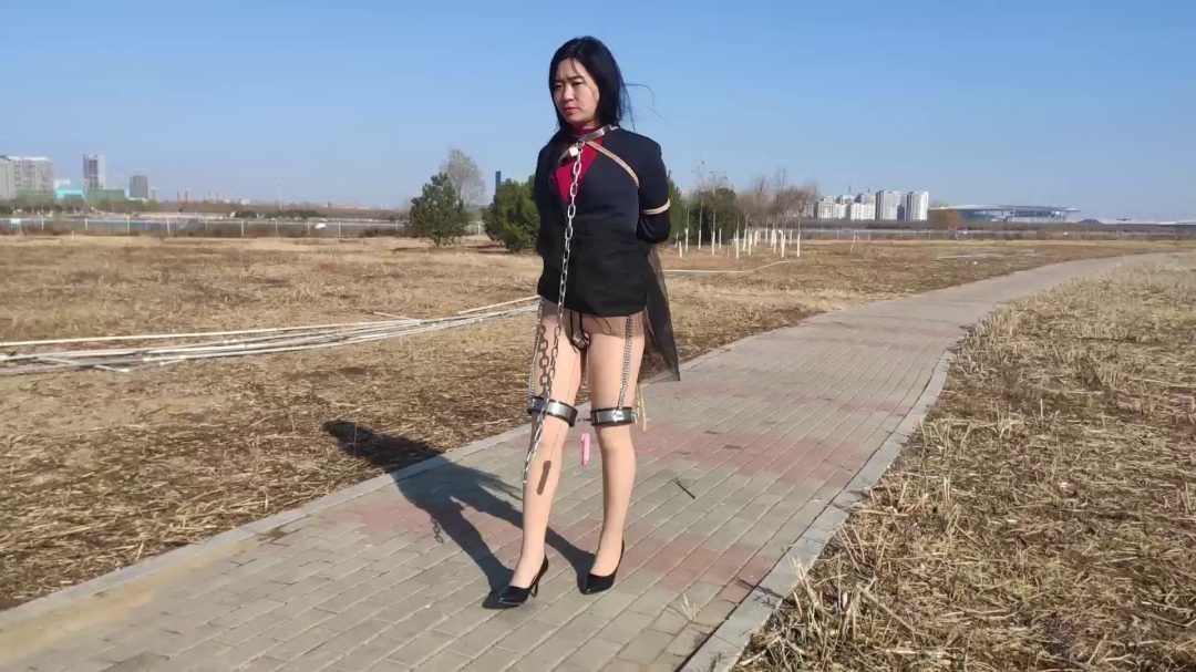 妻奴之假日游戏（上集）日常枷锁束缚 K9羞辱 吊缚 真实鞭打 电击 口塞等等-8