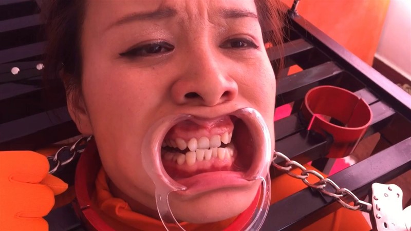 笼枷禁锢 强制口腔窥探 绳模王丽-6