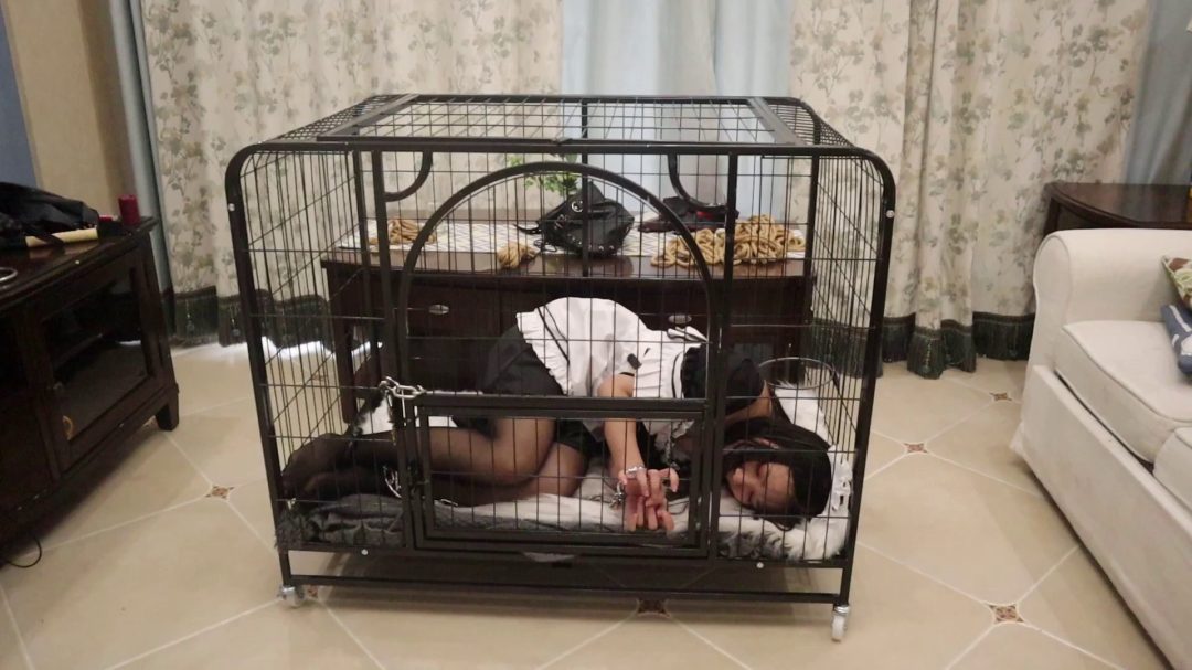 我的私人奴隶女仆（上集） 黑丝女仆装 手铐脚镣 服伺主人 绳艺捆绑 鼻钩 铁笼囚禁 驷马放置-3