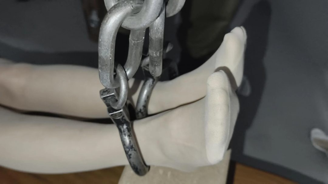 【鑫鑫工作室】本剧记录了我方一号情报员雅思被叛徒出卖，在销毁文件时被军统特务抓捕，反动派对情报员用尽了各种刑讯逼供，上老虎凳，电椅，被鞭打，始终坚守本心，最终被拉去了刑场枪毙。-4