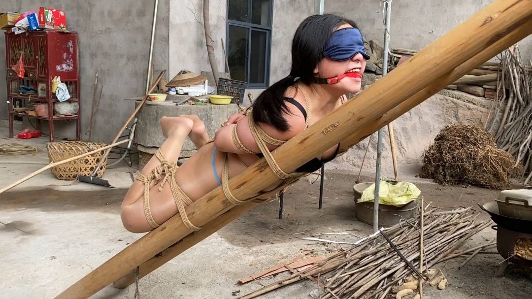 老家院子惊魂-8