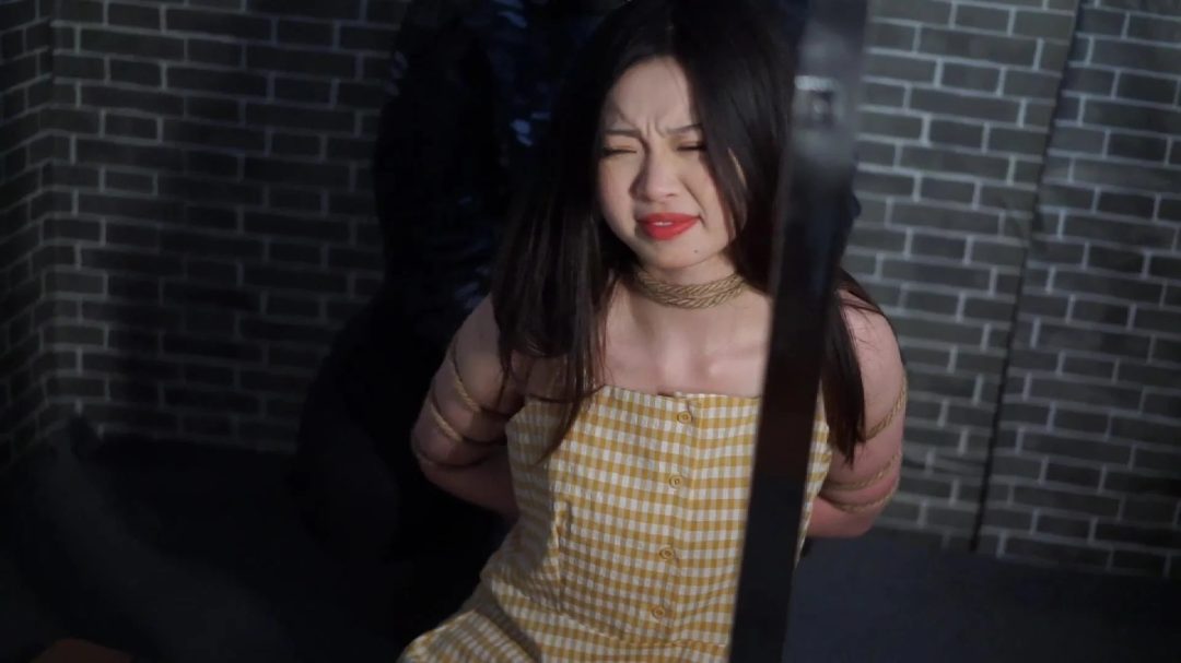 刘诗颖贪污雇凶-5