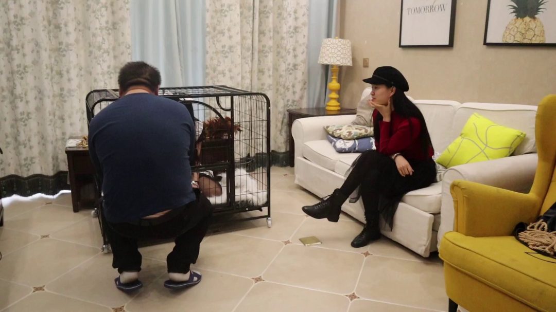 我的私人奴隶女仆（上集） 黑丝女仆装 手铐脚镣 服伺主人 绳艺捆绑 鼻钩 铁笼囚禁 驷马放置-4