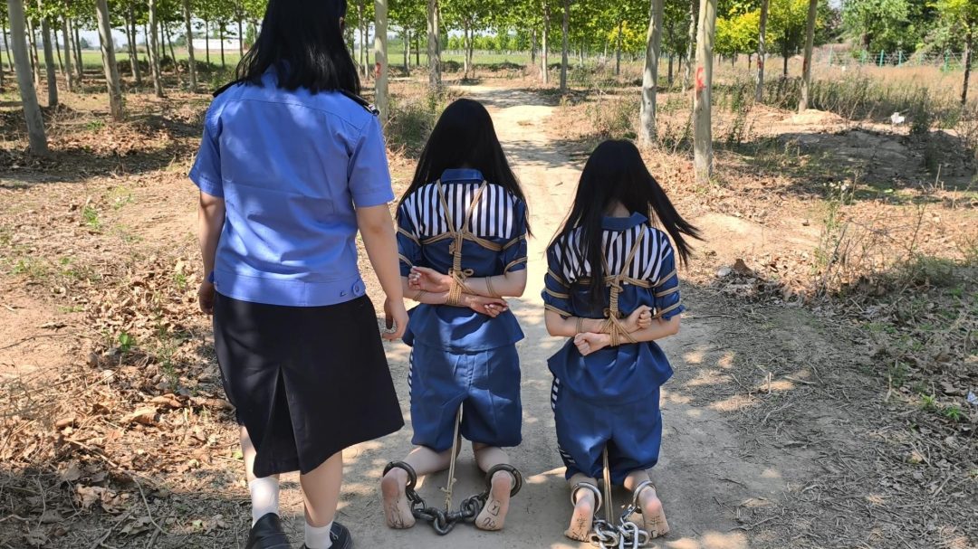 【鑫鑫工作室】林悦是H市井花新人，气质清冷。沈菲是一家广告公司的文案策划，古灵精怪。两人自小一起长大，情同姐妹。虽然她们感情很好，但得知闺蜜沈菲犯法了，还是选择抓捕她。因为在后面的过程中徇私枉法，帮助-10