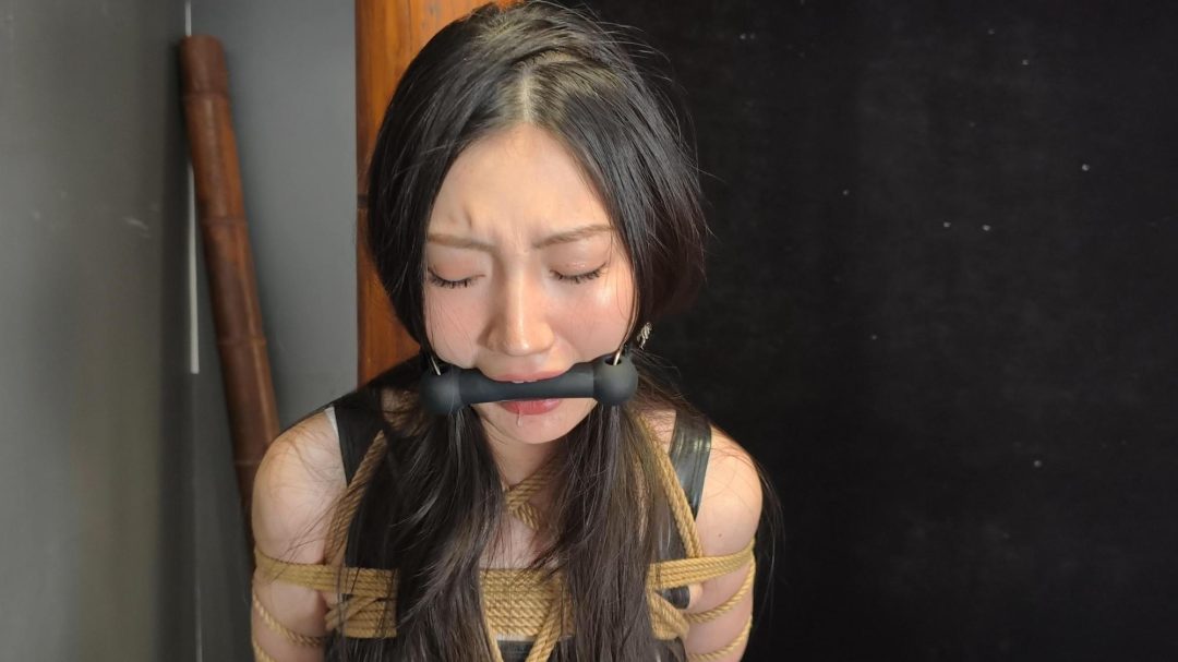 杀手黑玫瑰来找M国间谍老大，不料被秘书骗走被绑起来驷马鞭打，挣脱束缚后将秘书反杀，鞭打，点击，带口球，秘书口水直流。。-3