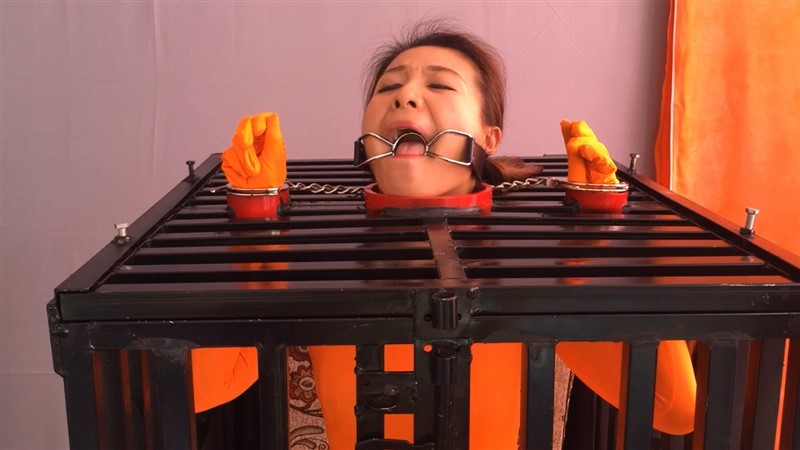 笼枷禁锢 强制口腔窥探 绳模王丽-1