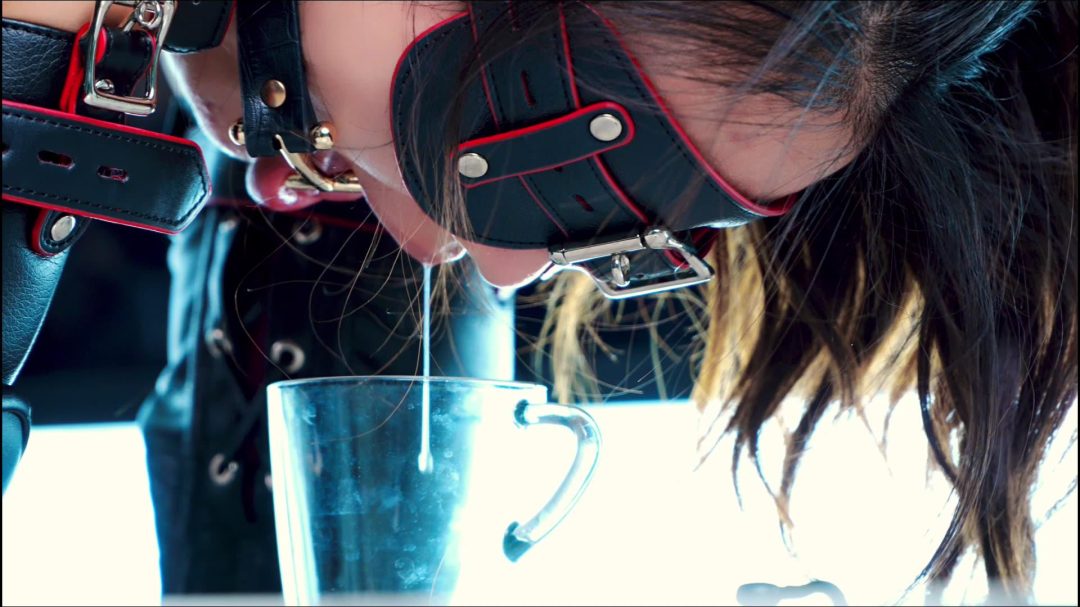 【Raymond】（硬核放置）口水榨汁机（狗狗套装+G钩+电击+口水榨汁+电击实时显示+4K）-3