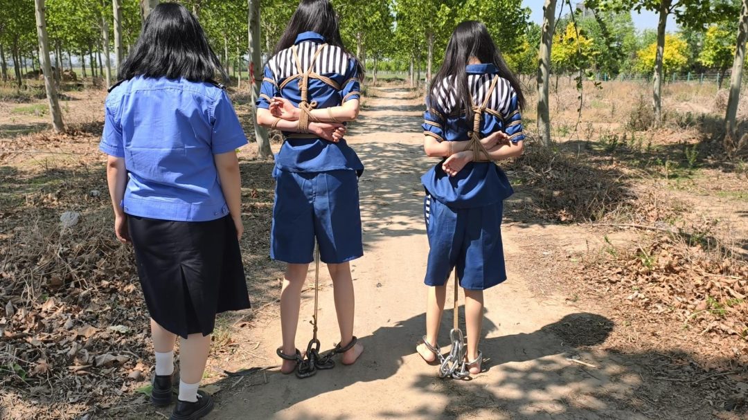 【鑫鑫工作室】林悦是H市井花新人，气质清冷。沈菲是一家广告公司的文案策划，古灵精怪。两人自小一起长大，情同姐妹。虽然她们感情很好，但得知闺蜜沈菲犯法了，还是选择抓捕她。因为在后面的过程中徇私枉法，帮助-9