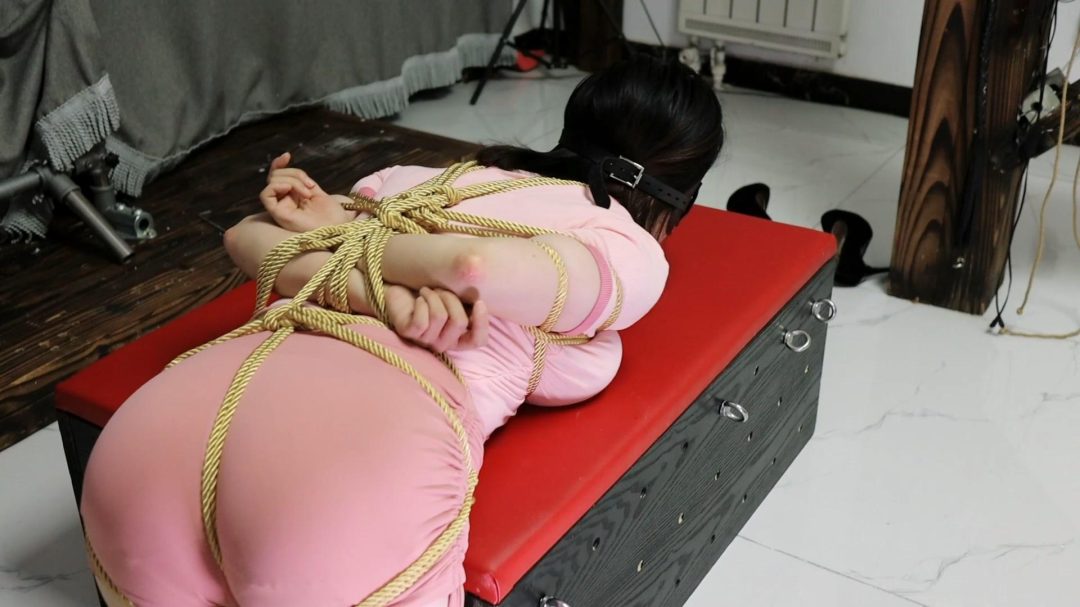 新绳试缚 驷马-6