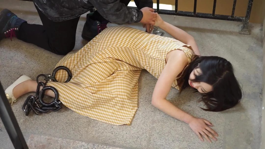 刘诗颖贪污雇凶-1