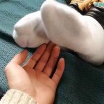 清子外出系列(第二季)~疯狂的火车~全球首创火车内捆绑