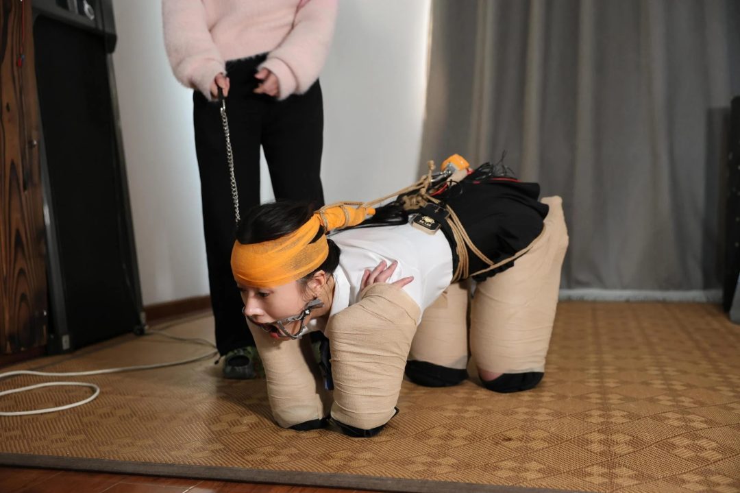 残酷的人形犬-3