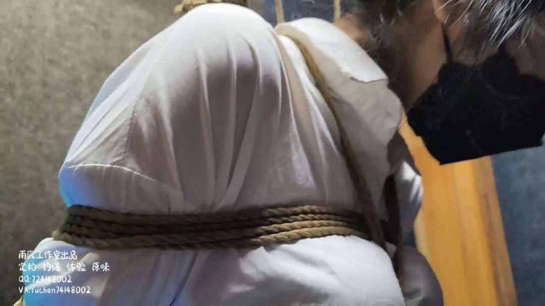 安娜木马受刑记-7