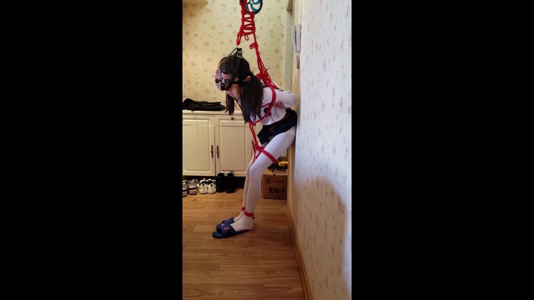 马具口球吊缚-2