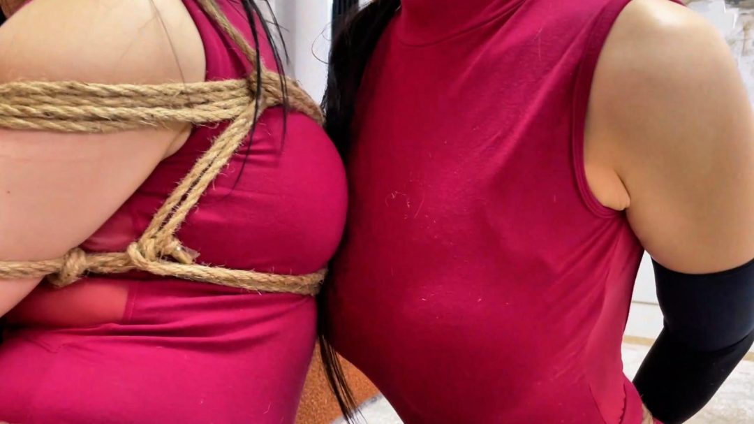 king云雀定拍《黑丝女盗——绝色双偷 下》饱和式剧情 超经典剧情 油光美女被重重捆绑成一团 最后被主人像藏品一样密封在玻璃罩中-4